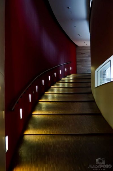 Muu - Andrei Nikitin