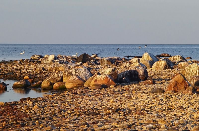 Peizaj - Andrei Nikitin