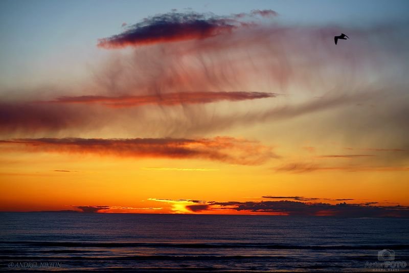 Peizaj - Andrei Nikitin