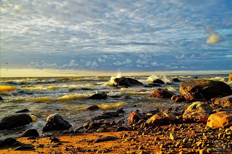 Peizaj - Andrei Nikitin