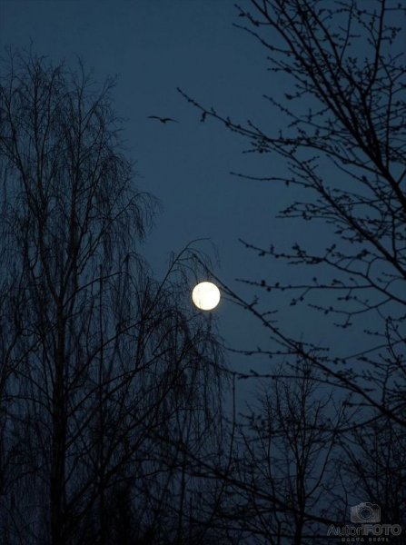 Peizaj - Andrei Nikitin