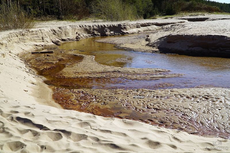 Peizaj - Andrei Nikitin