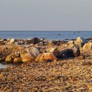 Peizaj - Andrei Nikitin