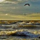 Peizaj - Andrei Nikitin