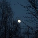 Peizaj - Andrei Nikitin