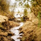 Peizaj - Andrei Nikitin