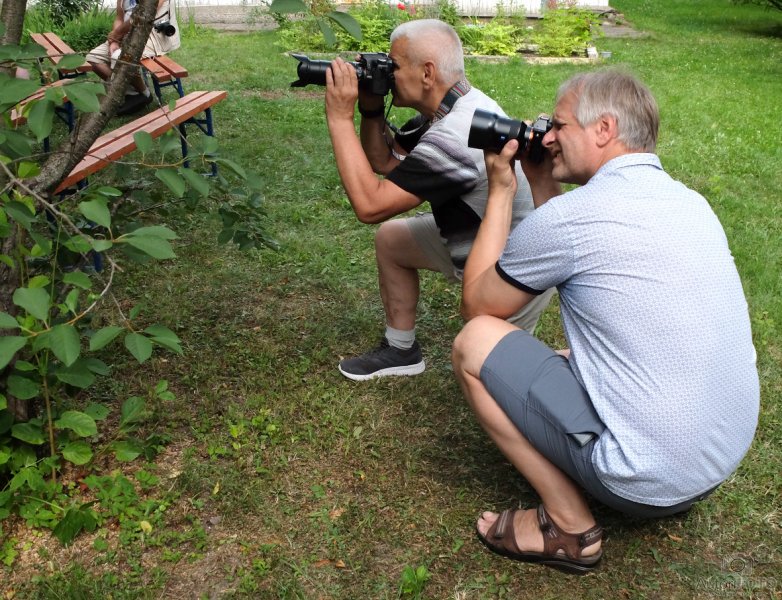 Солнечный город 2018