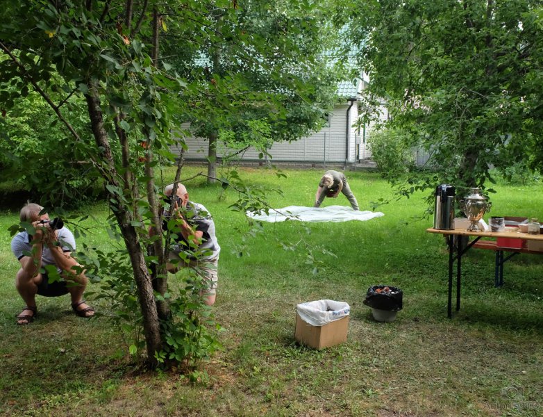 Солнечный город 2018