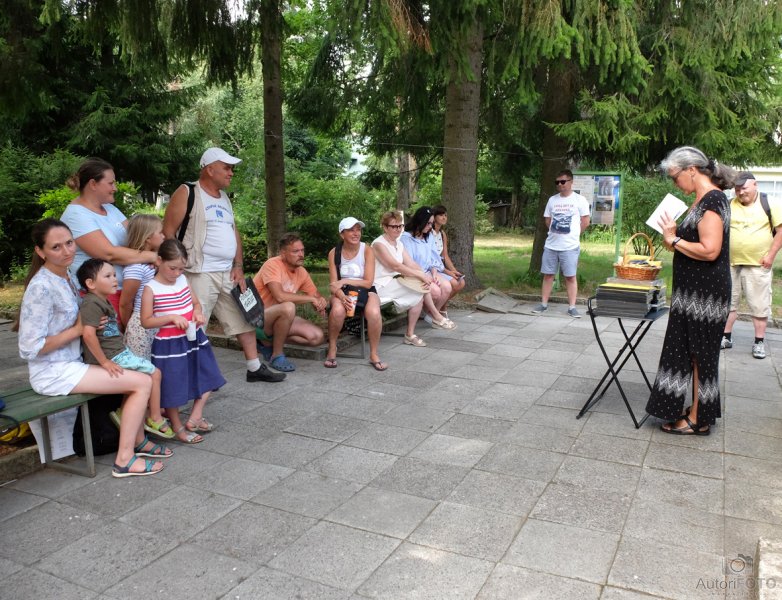 Солнечный город 2018