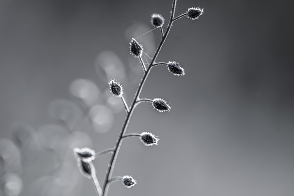 1 2
